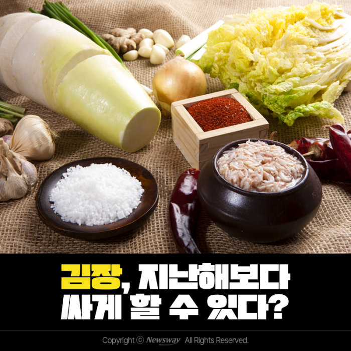 김장, 지난해보다 싸게 할 수 있다? 기사의 사진