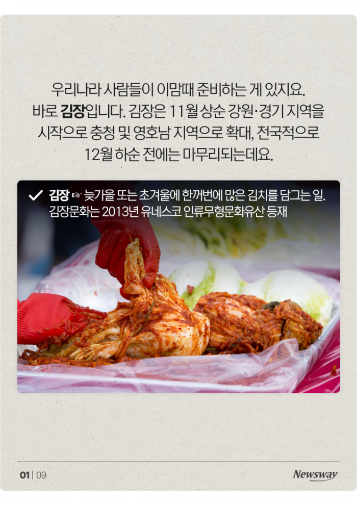 김장, 지난해보다 싸게 할 수 있다? 기사의 사진