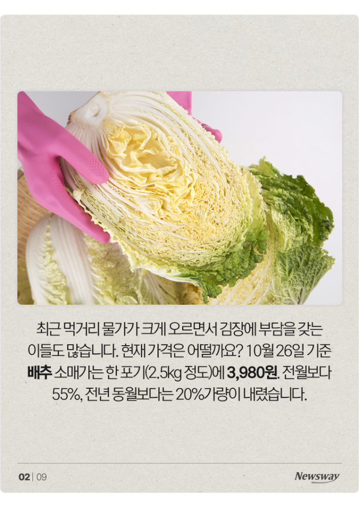 김장, 지난해보다 싸게 할 수 있다? 기사의 사진