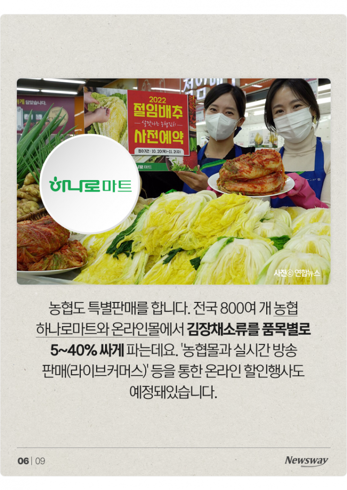 김장, 지난해보다 싸게 할 수 있다? 기사의 사진