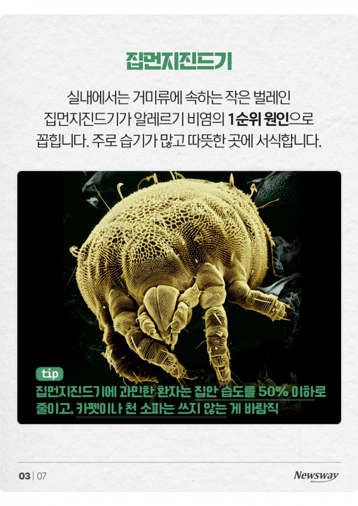 발작적 재채기에 분위기 싸늘···알레르기 비염, 원인은? 기사의 사진