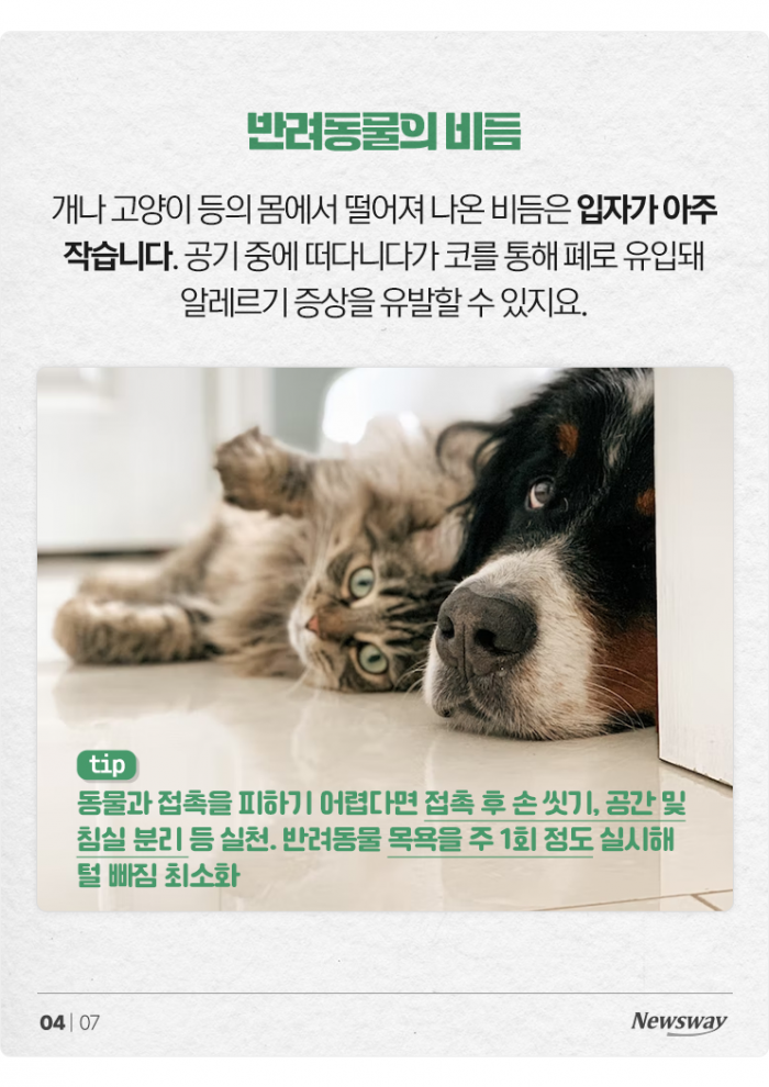 발작적 재채기에 분위기 싸늘···알레르기 비염, 원인은? 기사의 사진
