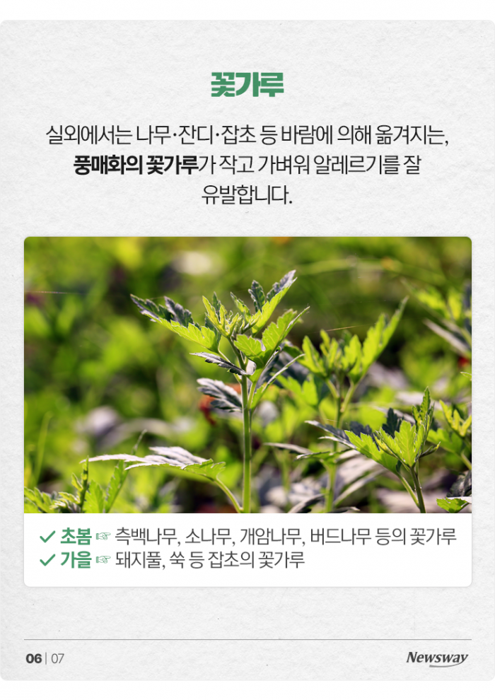 발작적 재채기에 분위기 싸늘···알레르기 비염, 원인은? 기사의 사진