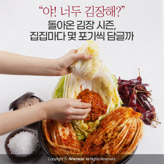 "야! 너두 김장해?" 돌아온 김장 시즌, 집집마다 몇 포기씩 담글까 기사의 사진