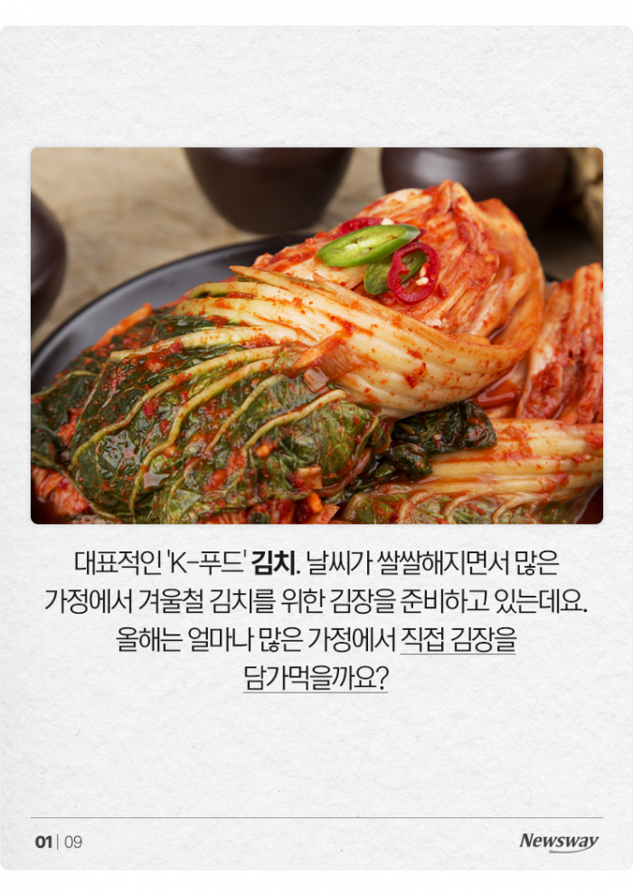 "야! 너두 김장해?" 돌아온 김장 시즌, 집집마다 몇 포기씩 담글까 기사의 사진