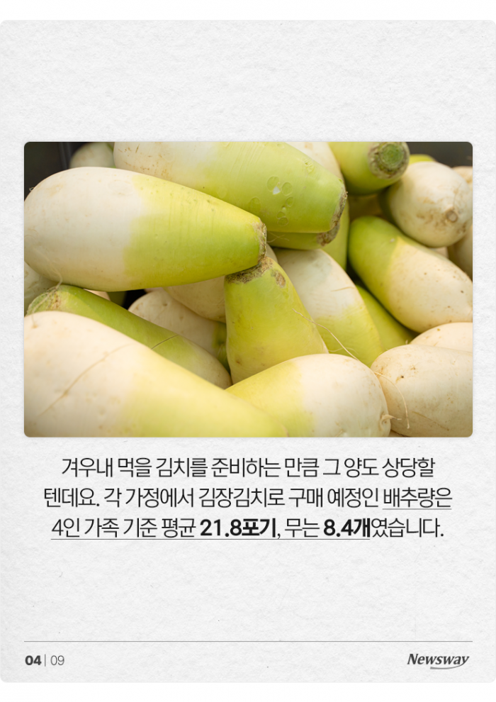 "야! 너두 김장해?" 돌아온 김장 시즌, 집집마다 몇 포기씩 담글까 기사의 사진