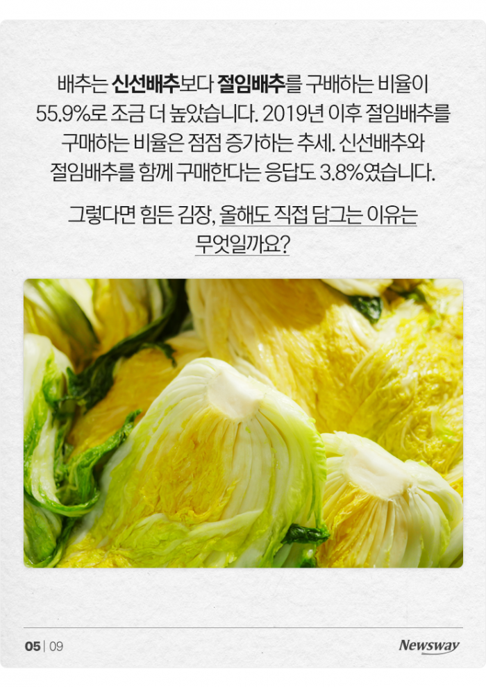 "야! 너두 김장해?" 돌아온 김장 시즌, 집집마다 몇 포기씩 담글까 기사의 사진
