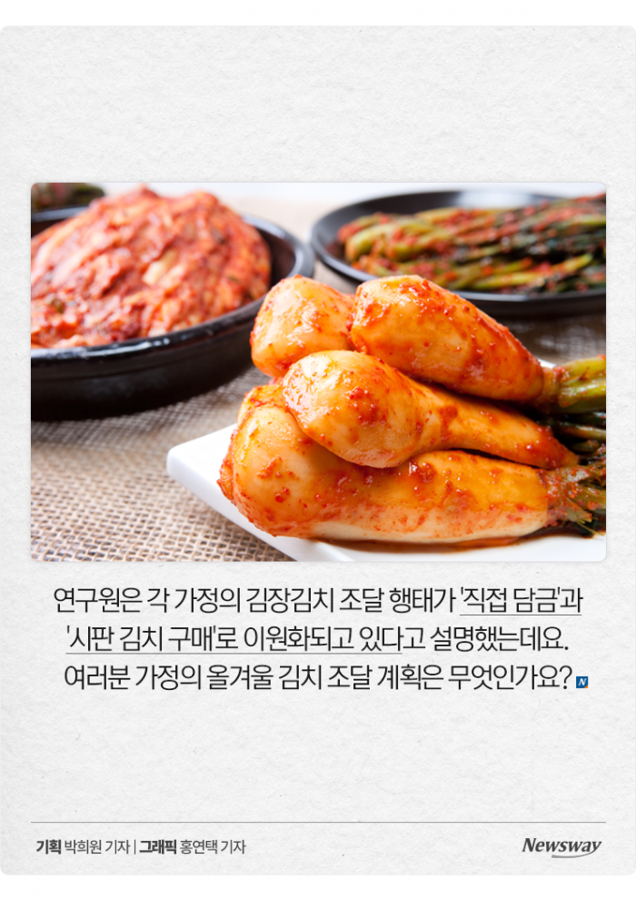 "야! 너두 김장해?" 돌아온 김장 시즌, 집집마다 몇 포기씩 담글까 기사의 사진