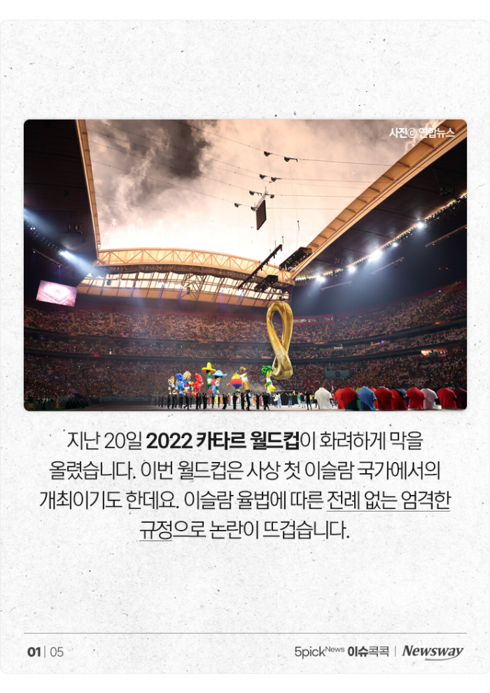 돼지고기·술에 이어 미니스커트까지···'금지 천국' 카타르 기사의 사진