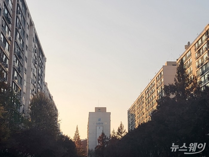 사실상 신동아아파트는 지난 1992년에 준공됐는데 올해로 31년째를 맞은 단지로 아직 재건축하기에는 이르다는 지적이 제기됐다. 이에 서울시는 리모델링을, 조합은 철거를 제안하면서 사업 지연의 주원인으로 지목되기도 했었다. 그런데 이번에 나온 촉진계획안에 신동아아파트와 같이 전면 개발하도록 되면서 사업은 간신히 본궤도에 오르게 됐다. 사진 = 김소윤 기자