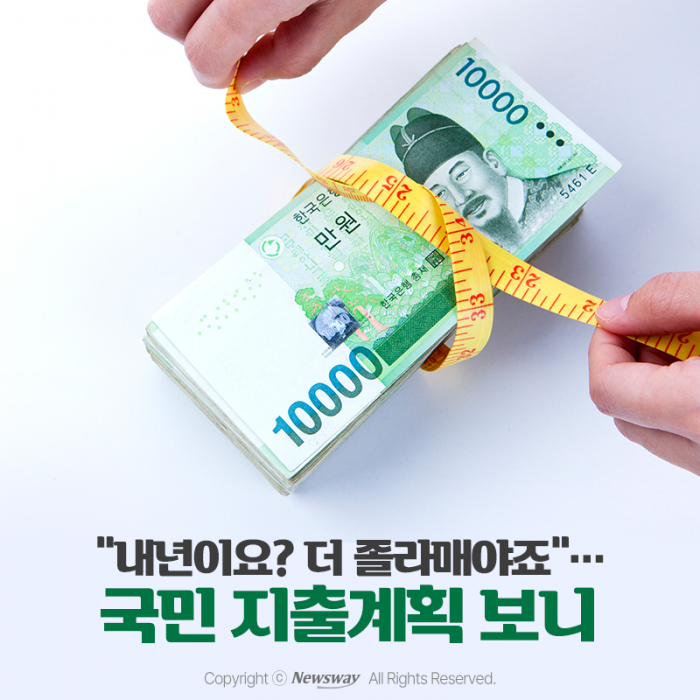 "내년이요? 더 졸라매야죠"···국민 지출계획 보니 기사의 사진