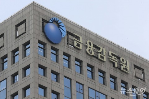 금감원 "설 명절 택배·범칙금 알림 사칭 문자사기 주의"
