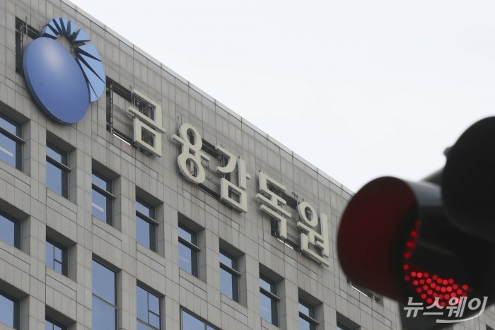 금융감독원 DB 사진=강민석 기자 kms@newsway.co.kr