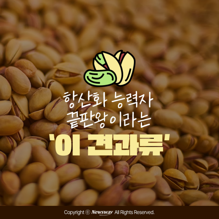 항산화 능력자 끝판왕이라는 '이 견과류' 기사의 사진