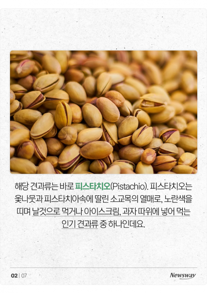 항산화 능력자 끝판왕이라는 '이 견과류' 기사의 사진