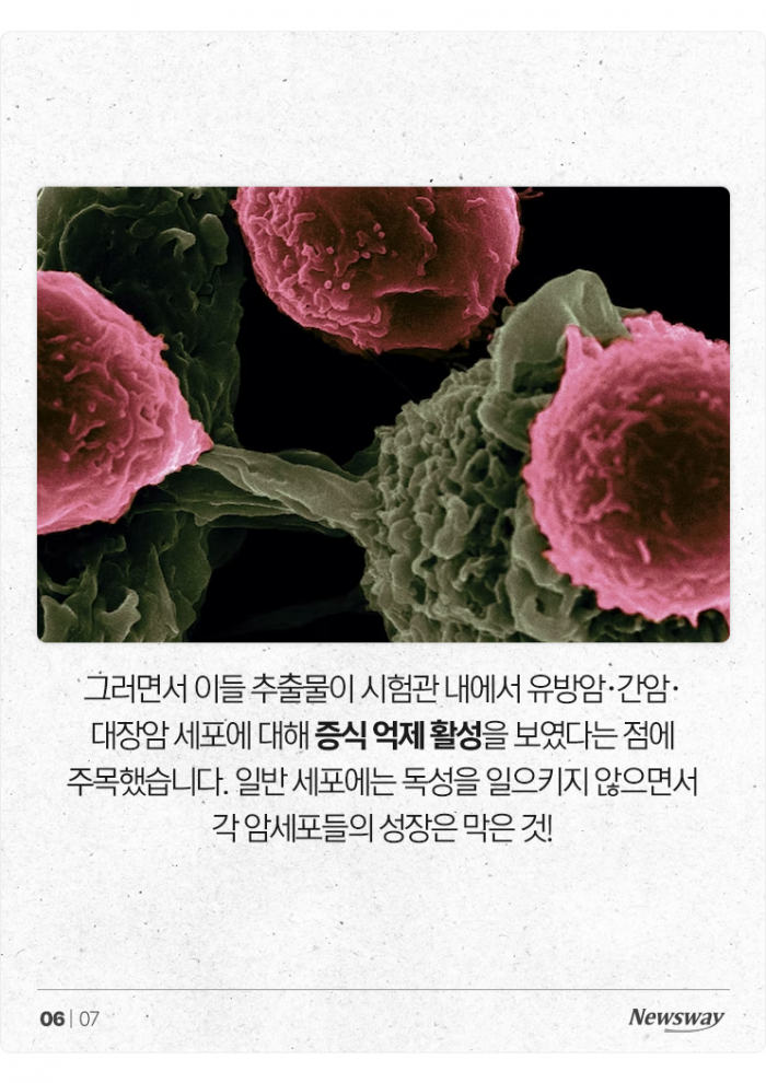 항산화 능력자 끝판왕이라는 '이 견과류' 기사의 사진