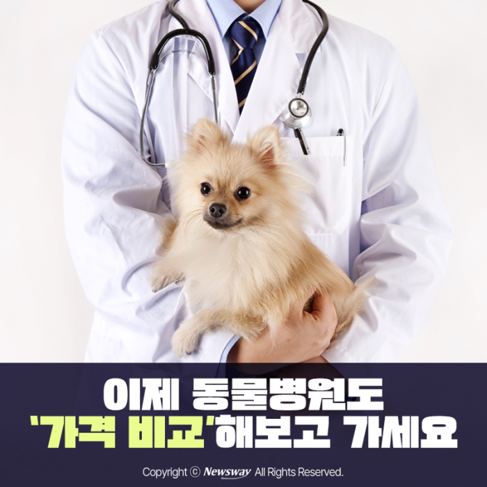 이제 동물병원도 '가격 비교'해보고 가세요 기사의 사진