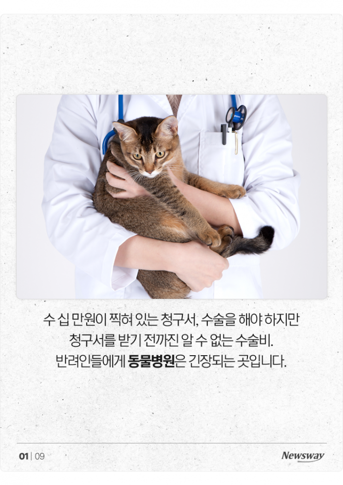 이제 동물병원도 '가격 비교'해보고 가세요 기사의 사진