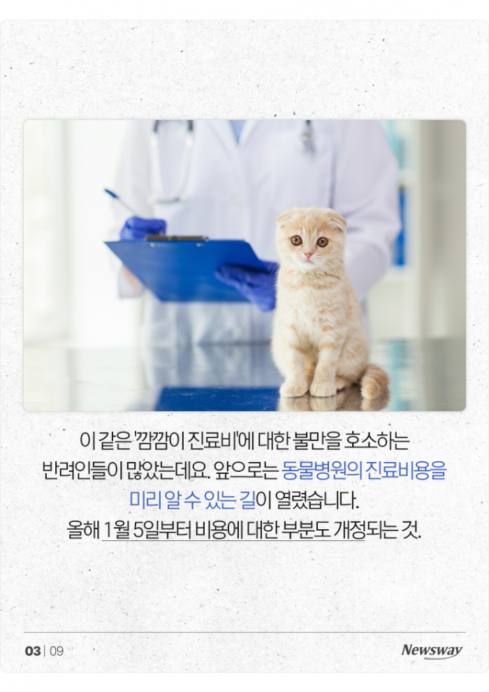 이제 동물병원도 '가격 비교'해보고 가세요 기사의 사진