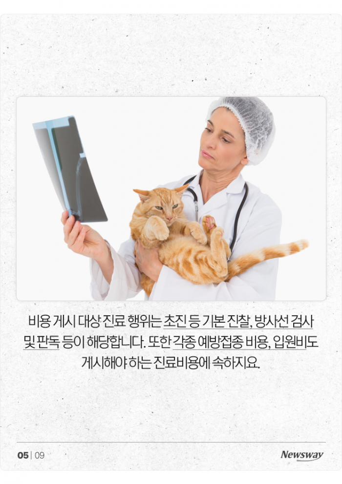 이제 동물병원도 '가격 비교'해보고 가세요 기사의 사진