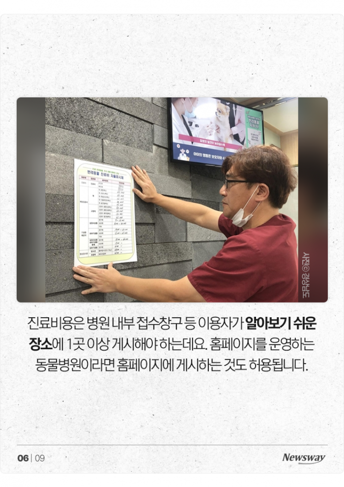 이제 동물병원도 '가격 비교'해보고 가세요 기사의 사진