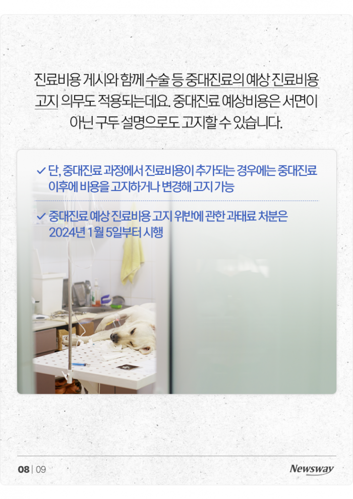 이제 동물병원도 '가격 비교'해보고 가세요 기사의 사진