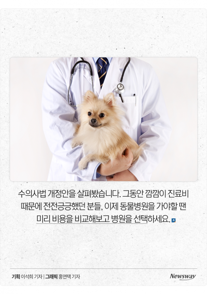 이제 동물병원도 '가격 비교'해보고 가세요 기사의 사진