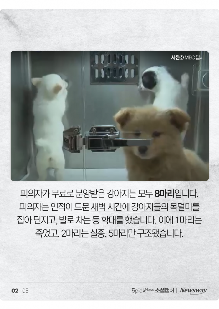 "재미로" 강아지 학대한 20대 여성 구속···"악마가 따로 없다" 기사의 사진
