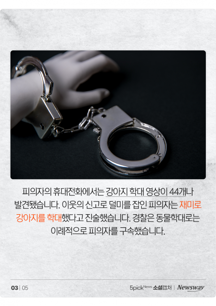 "재미로" 강아지 학대한 20대 여성 구속···"악마가 따로 없다" 기사의 사진