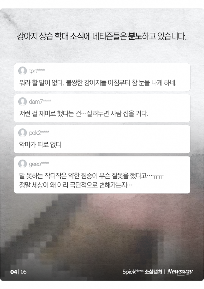 "재미로" 강아지 학대한 20대 여성 구속···"악마가 따로 없다" 기사의 사진