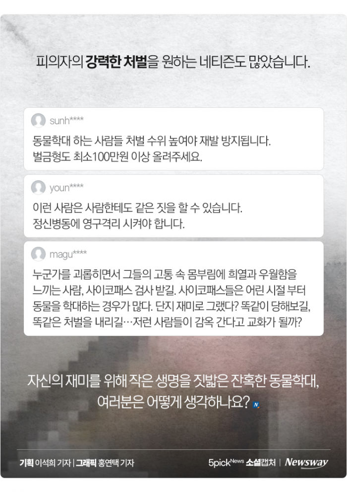 "재미로" 강아지 학대한 20대 여성 구속···"악마가 따로 없다" 기사의 사진