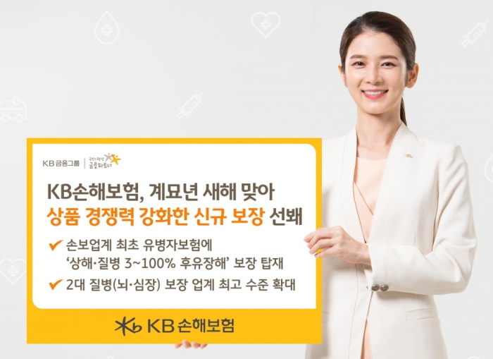 KB손해보험, 상품 경쟁력 강화···유병자도 후유장해 보장 기사의 사진