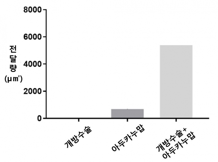 연세의료원 제공