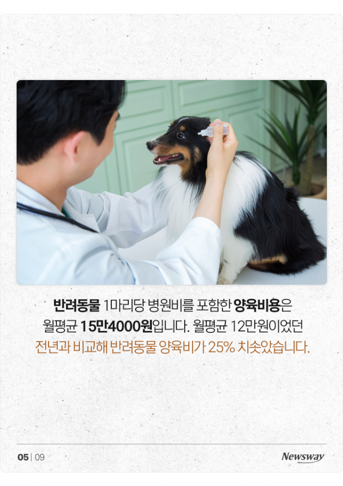'물가인상 폭풍' 반려동물 양육비도 1년 새 25% 늘었다 기사의 사진