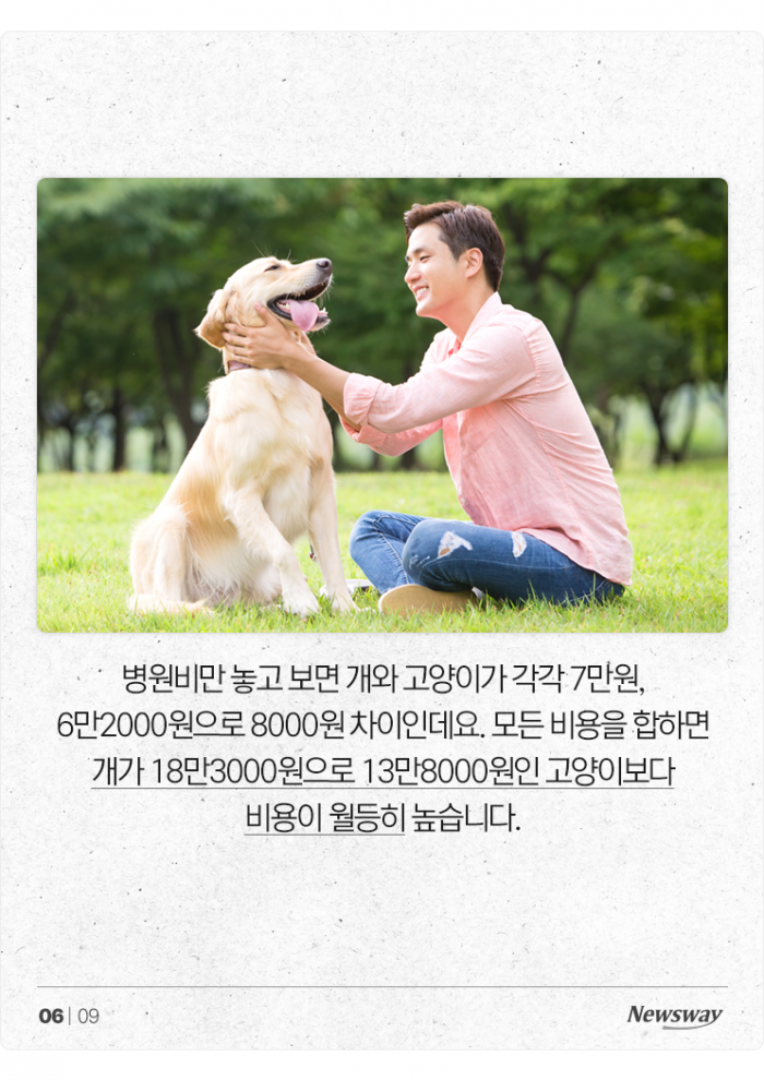 '물가인상 폭풍' 반려동물 양육비도 1년 새 25% 늘었다 기사의 사진