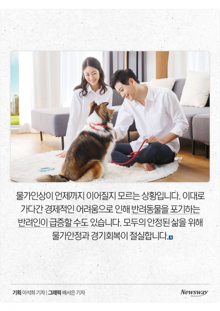 '물가인상 폭풍' 반려동물 양육비도 1년 새 25% 늘었다 기사의 사진