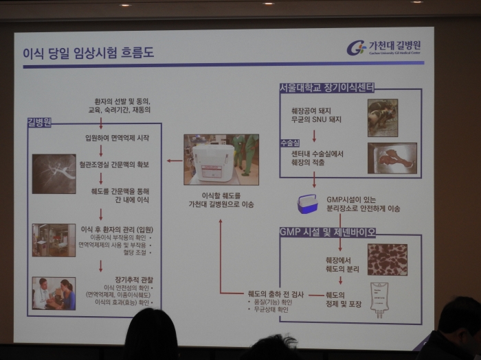 임상시험 흐름도. 사진=유수인 기자