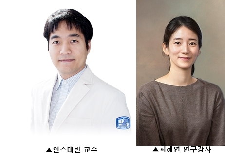 체내 암세포나 바이러스를 자체적으로 공격하는 NK세포(자연살해세포) 활동을 조절하는 유전자의 변이와 교모세포종의 상관성을 규명한 연구결과가 국제학술지에 발표됐다. 사진=서울성모병원 제공