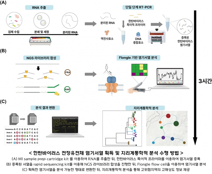 한탄바이러스 전장유전체 염기서열 획득 및 지리계통학적 분석수행방법. 고려대의대 제공