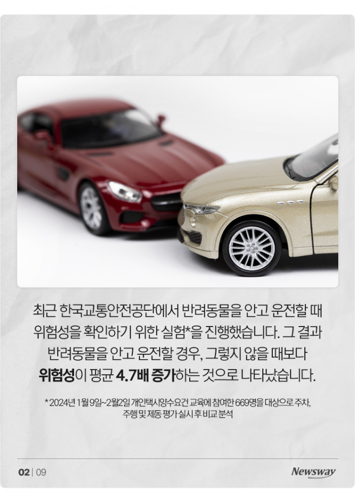 '반려동물 안고' 운전, 얼마나 위험한가 보니 기사의 사진