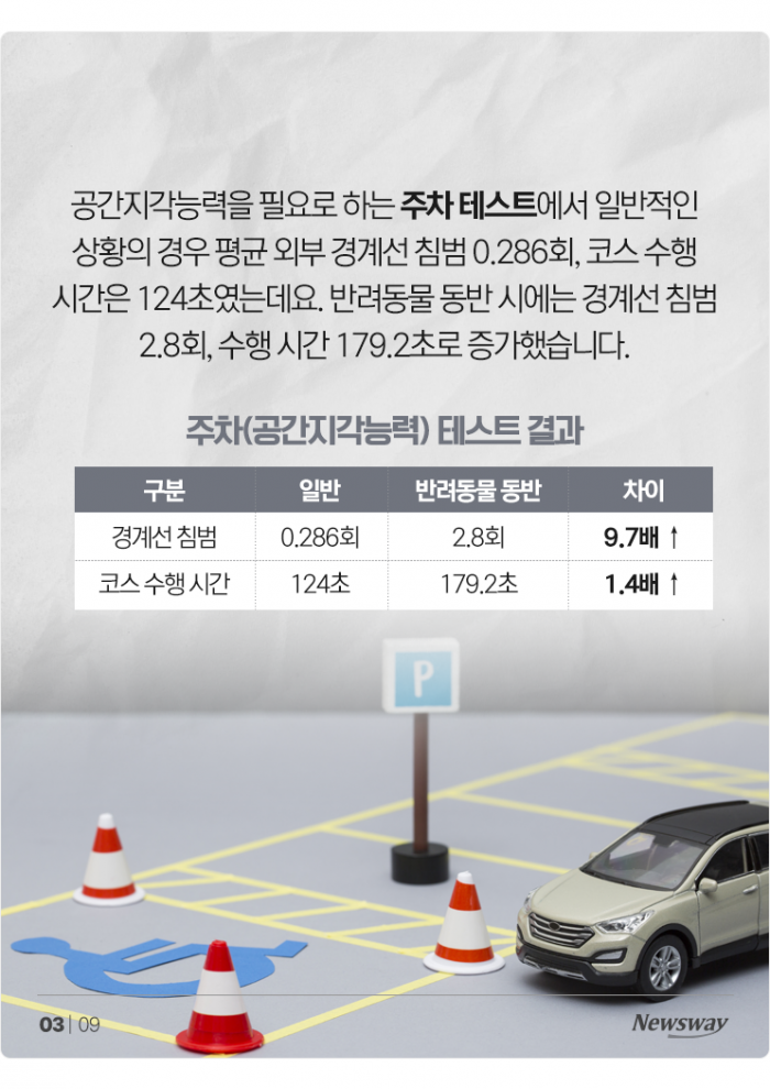 '반려동물 안고' 운전, 얼마나 위험한가 보니 기사의 사진