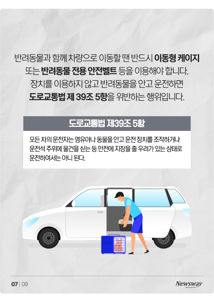 '반려동물 안고' 운전, 얼마나 위험한가 보니 기사의 사진