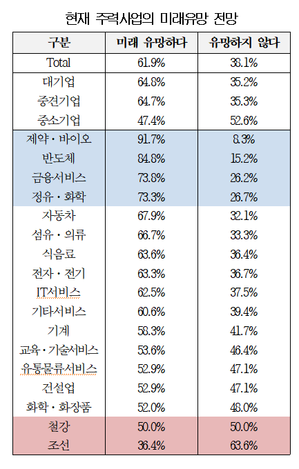 주력사업의 미래유망 전망. 그래픽=대한상공회의소 제공