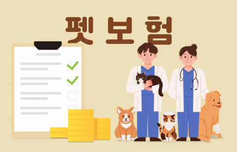 펫보험 시장 규모 1년 새 55% 고성장···신계약 건수 10만건 돌파