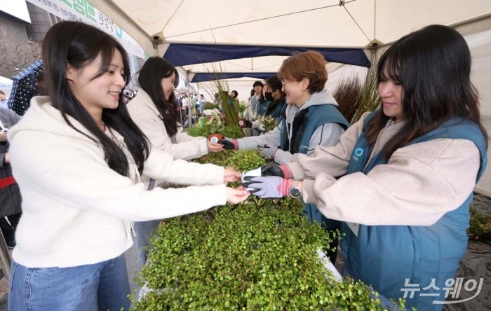 26일 서울 중구 청계광장에서 열린 '2024 청정원 희망의 나무 나누기' 행사에서 청정원 자원봉사자들이 시민들에게 묘목과 공기정화식물을 나눠주고 있다. 사진=이수길 기자 Leo2004@newsway.co.kr
