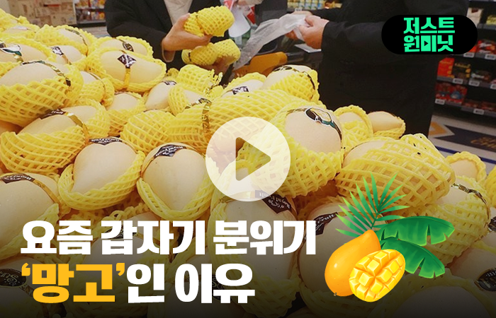 요즘 갑자기 분위기 '망고'인 이유 기사의 사진