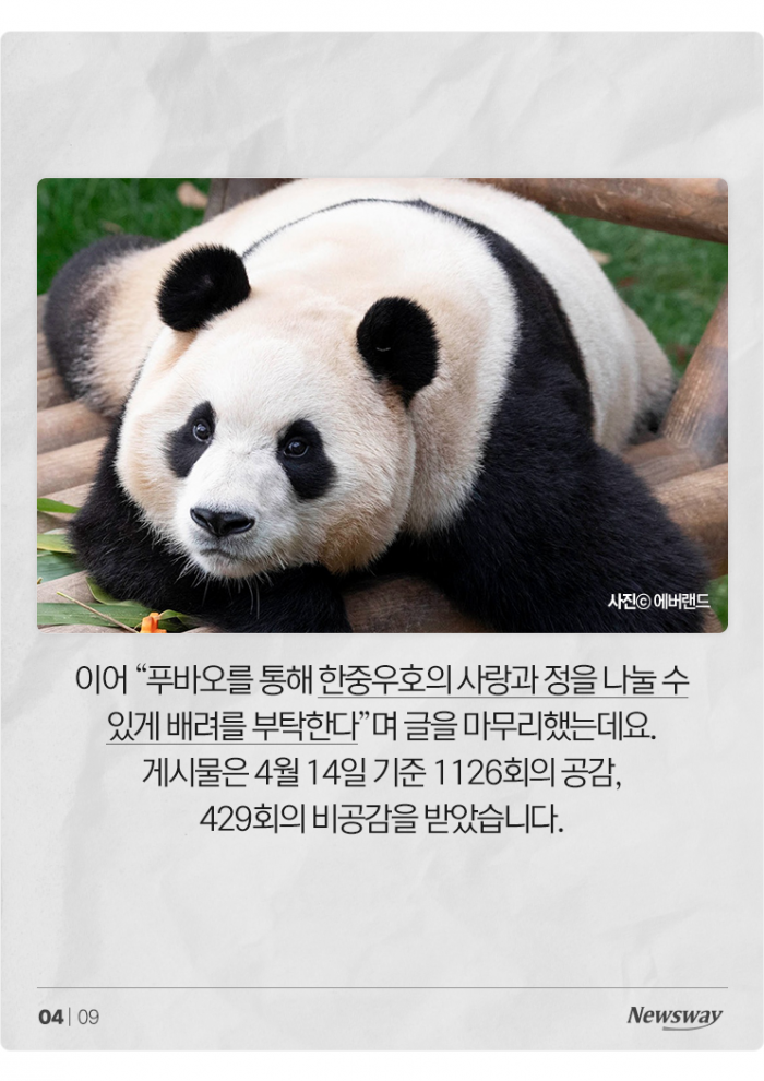 푸바오 못 잊은 팬들, 이번엔 "혈세로 데려오자" 논란 기사의 사진