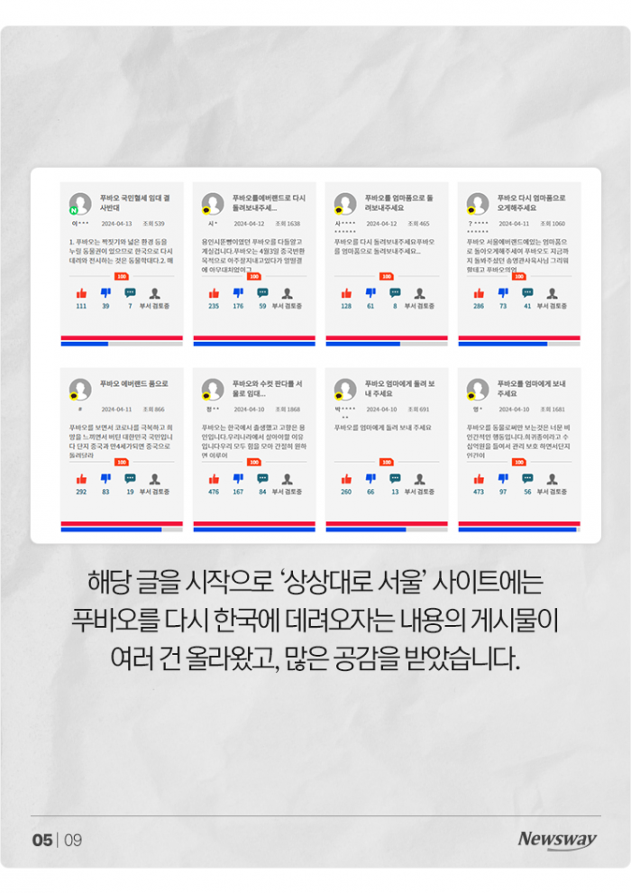 푸바오 못 잊은 팬들, 이번엔 "혈세로 데려오자" 논란 기사의 사진