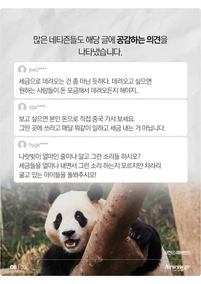 푸바오 못 잊은 팬들, 이번엔 "혈세로 데려오자" 논란 기사의 사진