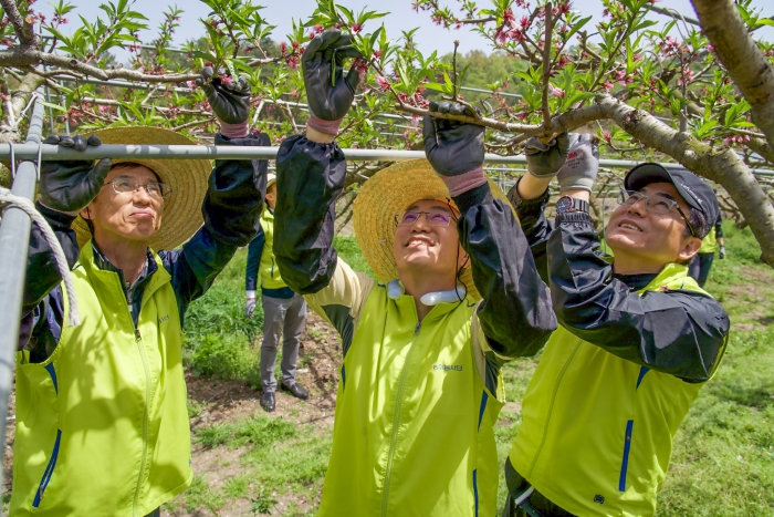 이석준 농협금융지주 회장(사진 가운데), 김익수 전략기획부문 부사장(왼쪽), 홍순옥 NH농협은행 세종본부장(오른쪽)이 적화 작업을 하고 있다. 사진=NH농협금융지주 제공